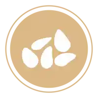 Sésamo